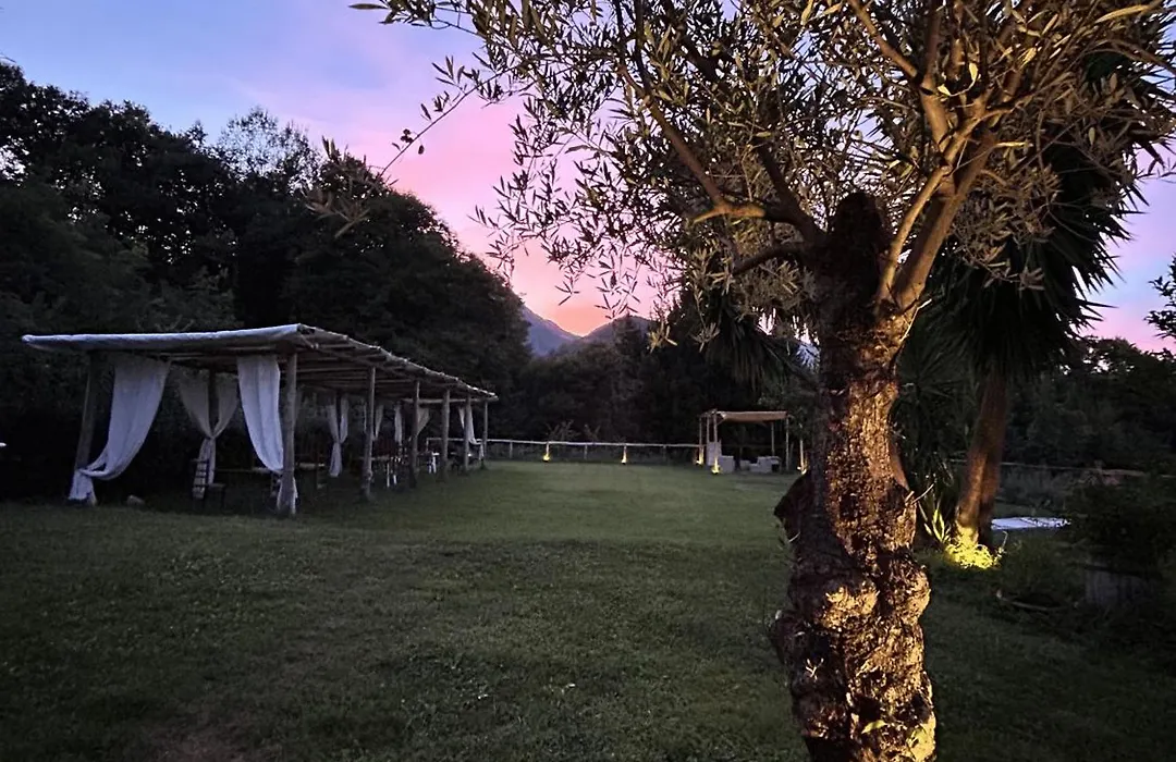 Agriturismo Colle Maiano-1